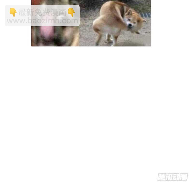 神廚狂後 - 第62話 白撿的爹爹(2/2) - 3