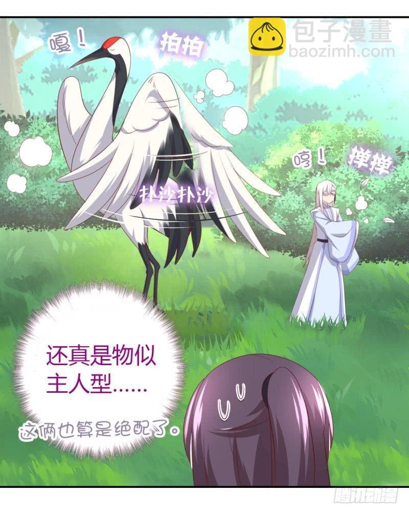 神廚狂後 - 第84話  英雄救美 - 4