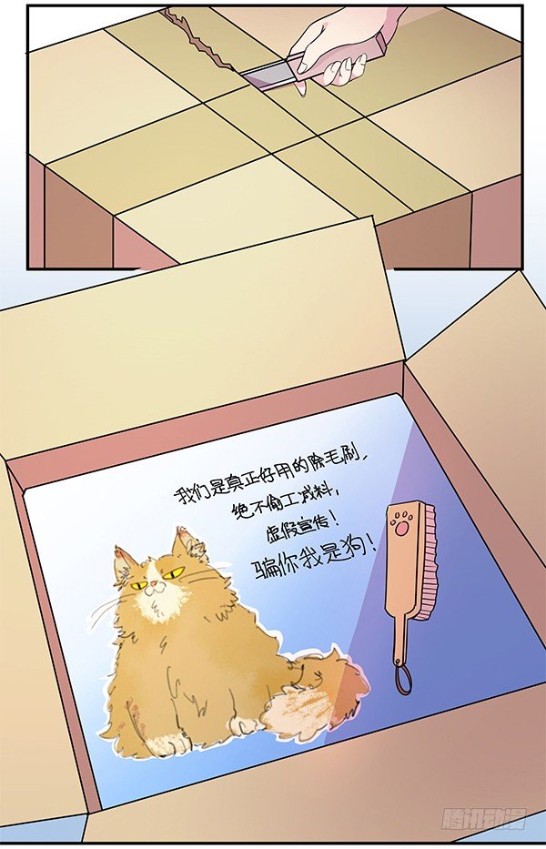骗你我是狗除毛刷(1/2)-第9话