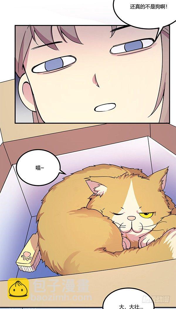 骗你我是狗除毛刷(1/2)-第9话