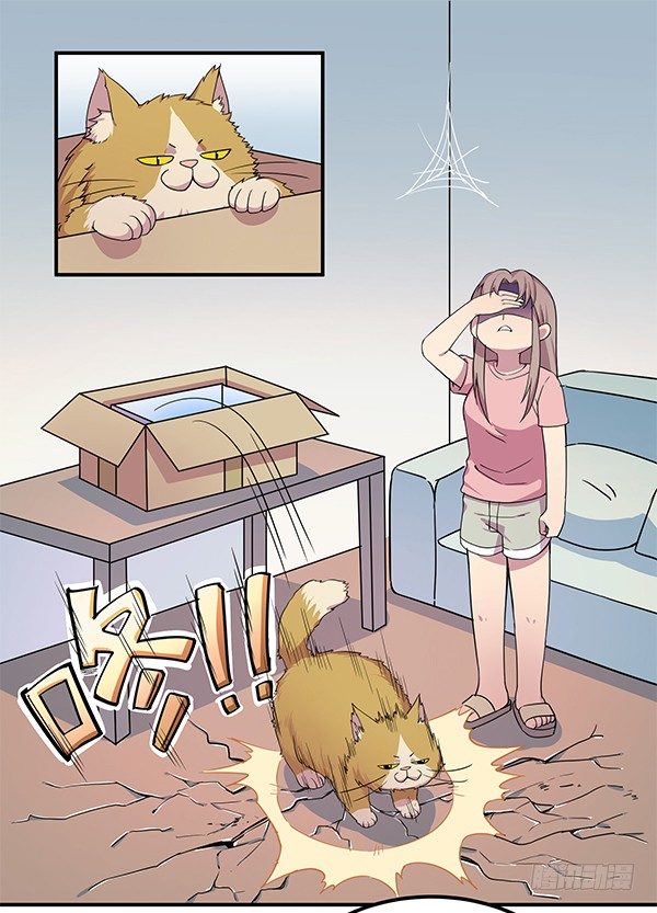 骗你我是狗除毛刷(1/2)-第9话