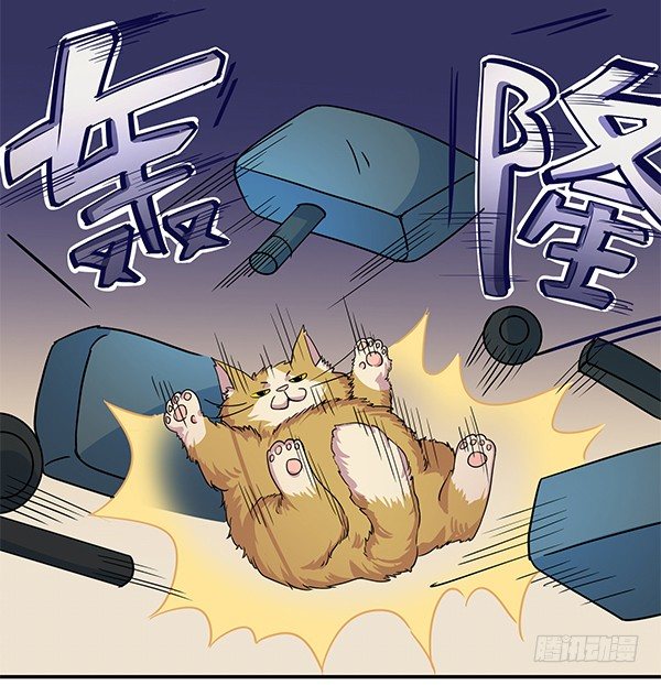 骗你我是狗除毛刷(1/2)-第9话