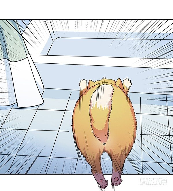 骗你我是狗除毛刷(1/2)-第9话