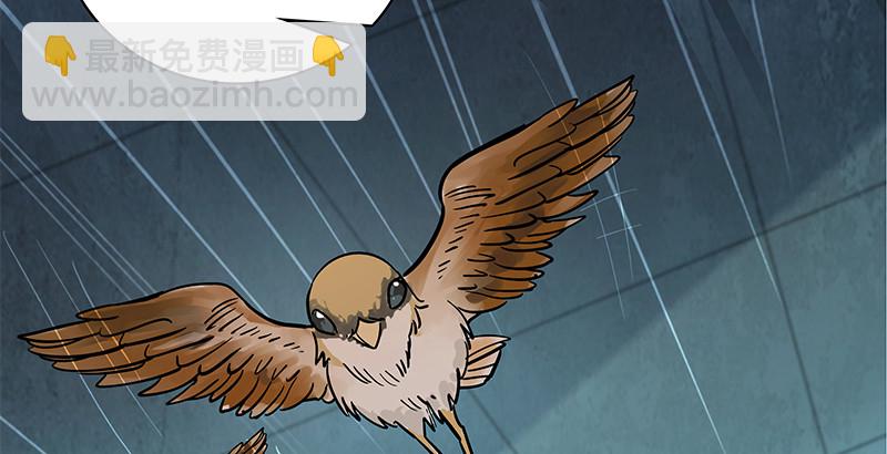 第三十七话 习武(1/3)-第41话