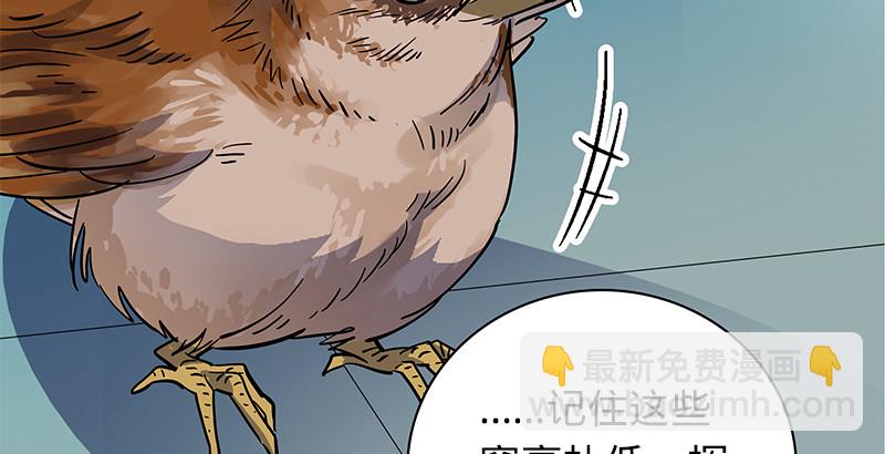 第三十七话 习武(1/3)-第41话