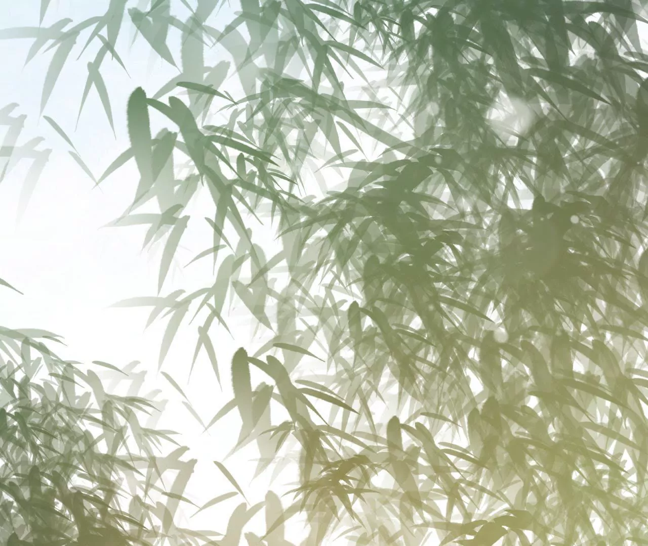 第46话 走投无路的盛俞舟(1/2)-第47话