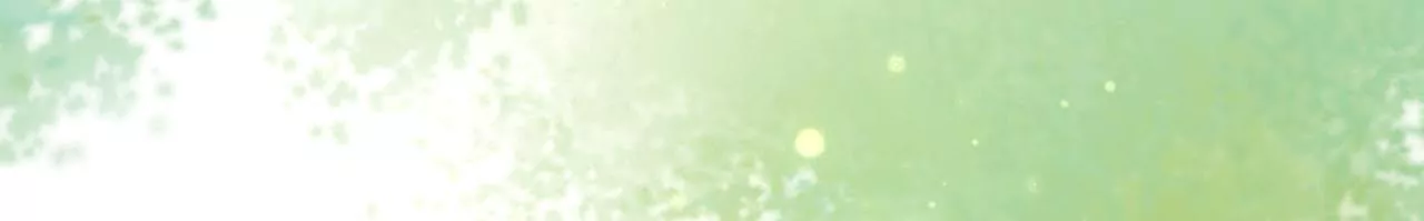 第8话 皇子贺寿(1/2)-第9话