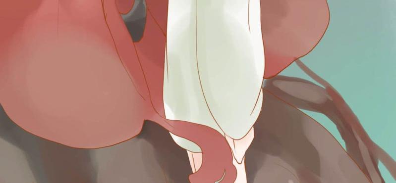 第十四话 旎妹（中）(1/3)-第15话