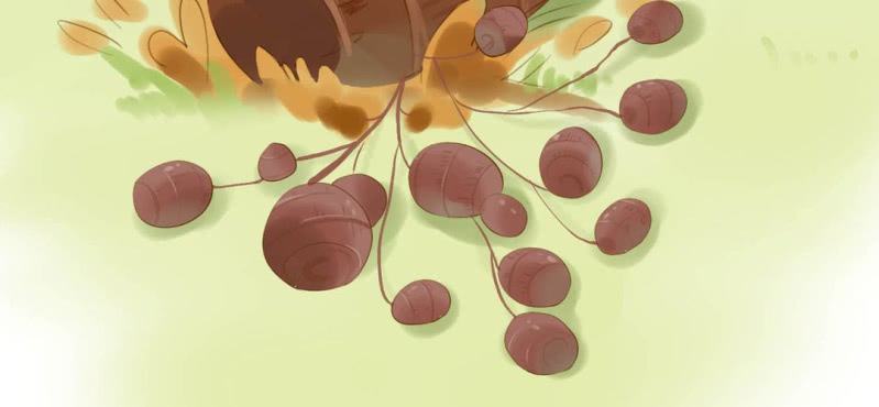 第二话 芋头（上）(1/2)-第3话