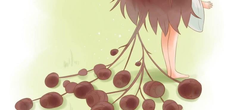 第二话 芋头（上）(1/2)-第3话