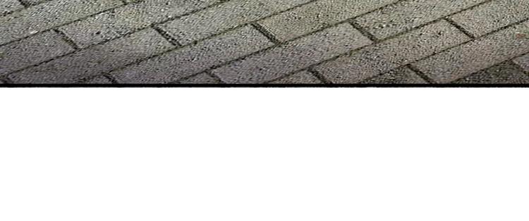 第15话 这后宫真是龙潭虎穴-第15话