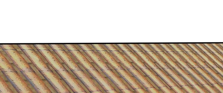 第17话 皇上还没走？-第17话