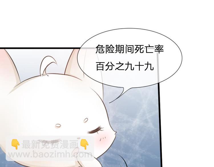 第3话 大眼萌狐狸(1/2)-第3话