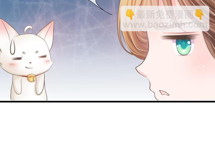 第3话 大眼萌狐狸(1/2)-第3话