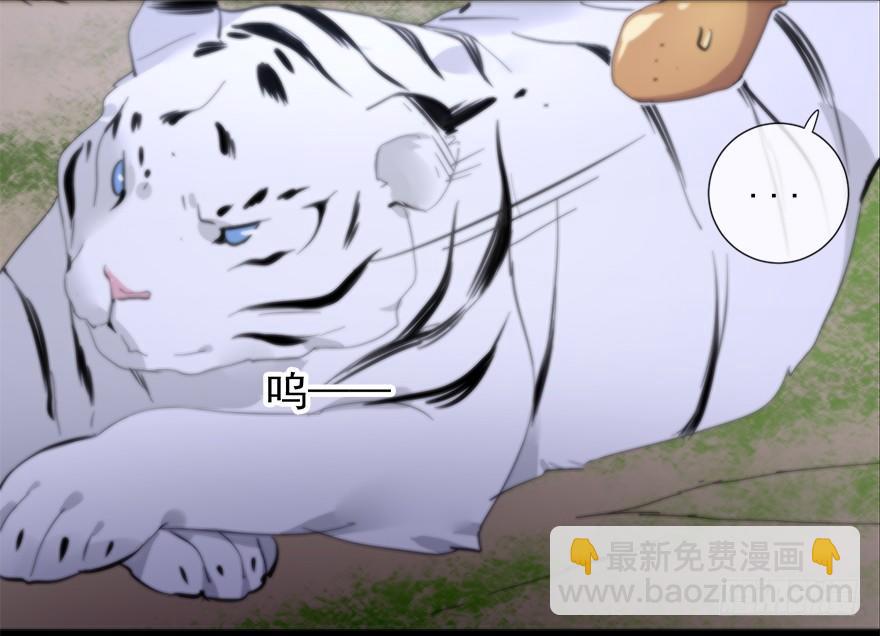 夜访虎园-第37话