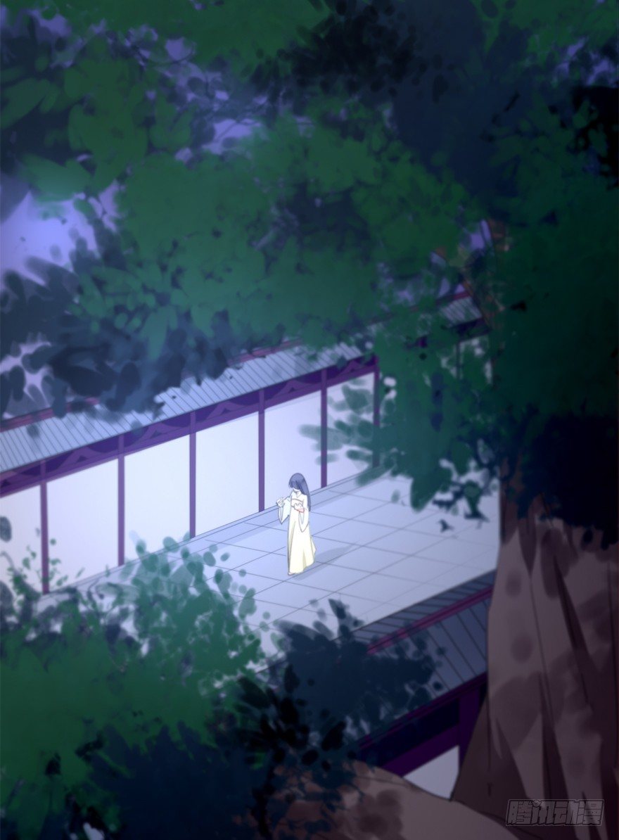 夜访虎园-第37话