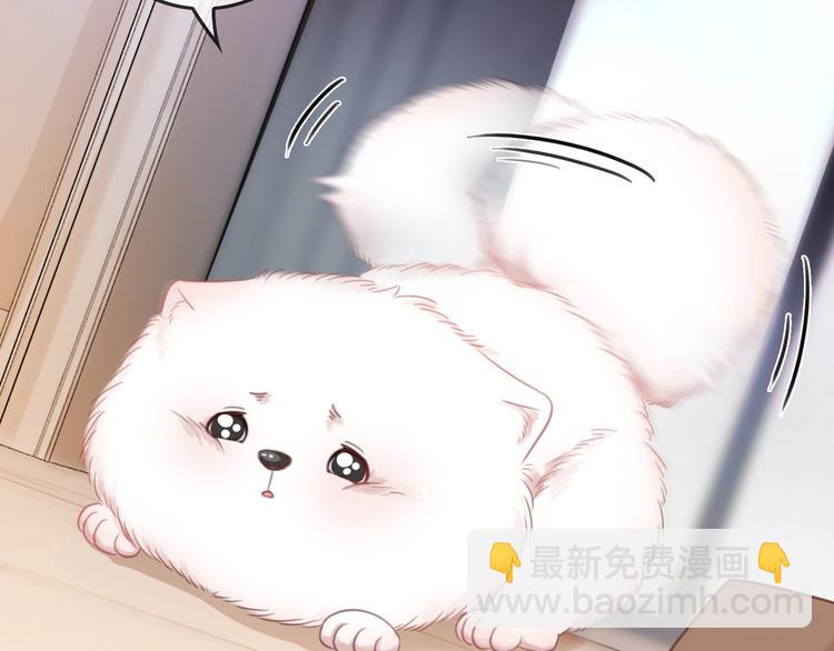 第9话 你是我的粉丝？(1/4)-第11话