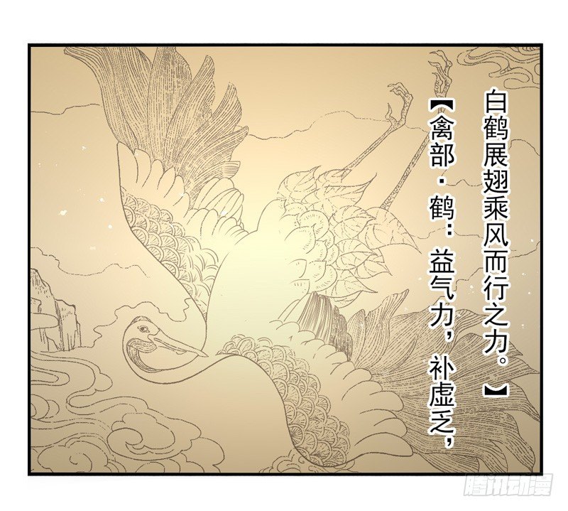 第11话：正面交锋（下）-第21话