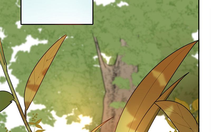 101.第100话 可怜焦土(1/3)-第101话