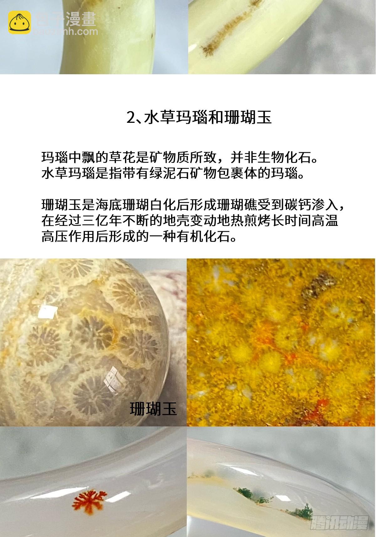 宝石科普章节四-第41话