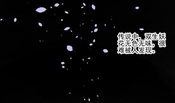 第38话 双生妖花(1/2)-第25话