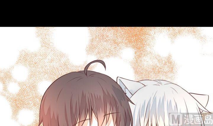 第44话 猫妖(1/2)-第31话