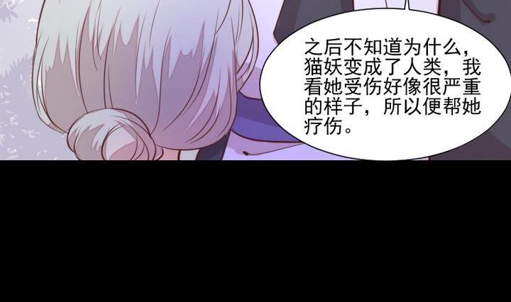第44话 猫妖(1/2)-第31话