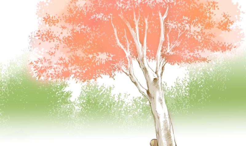 第52话 玉京子的能力(1/2)-第39话