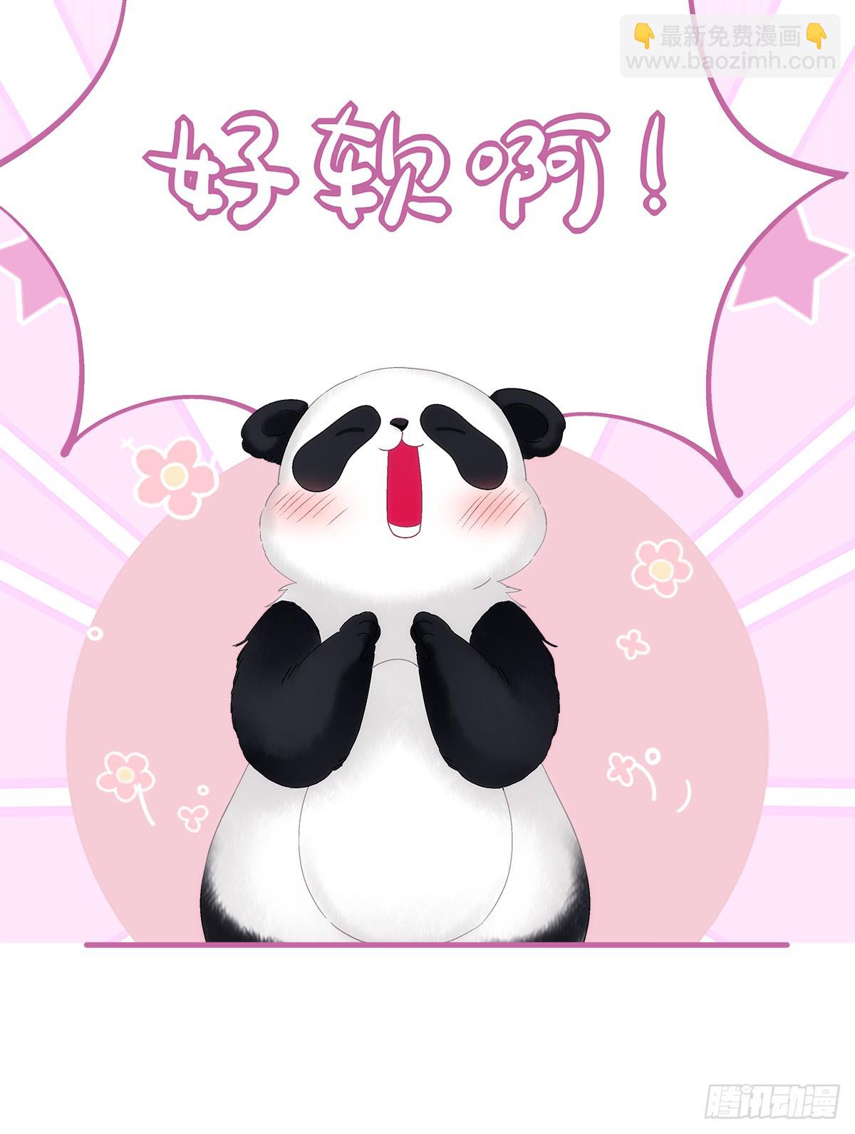 小熊猫来啦！(1/2)-第93话