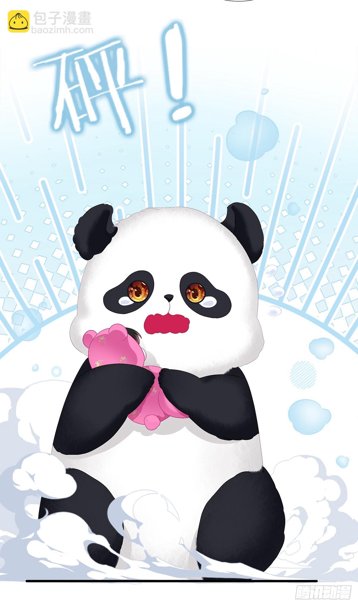 小熊猫来啦！(1/2)-第93话