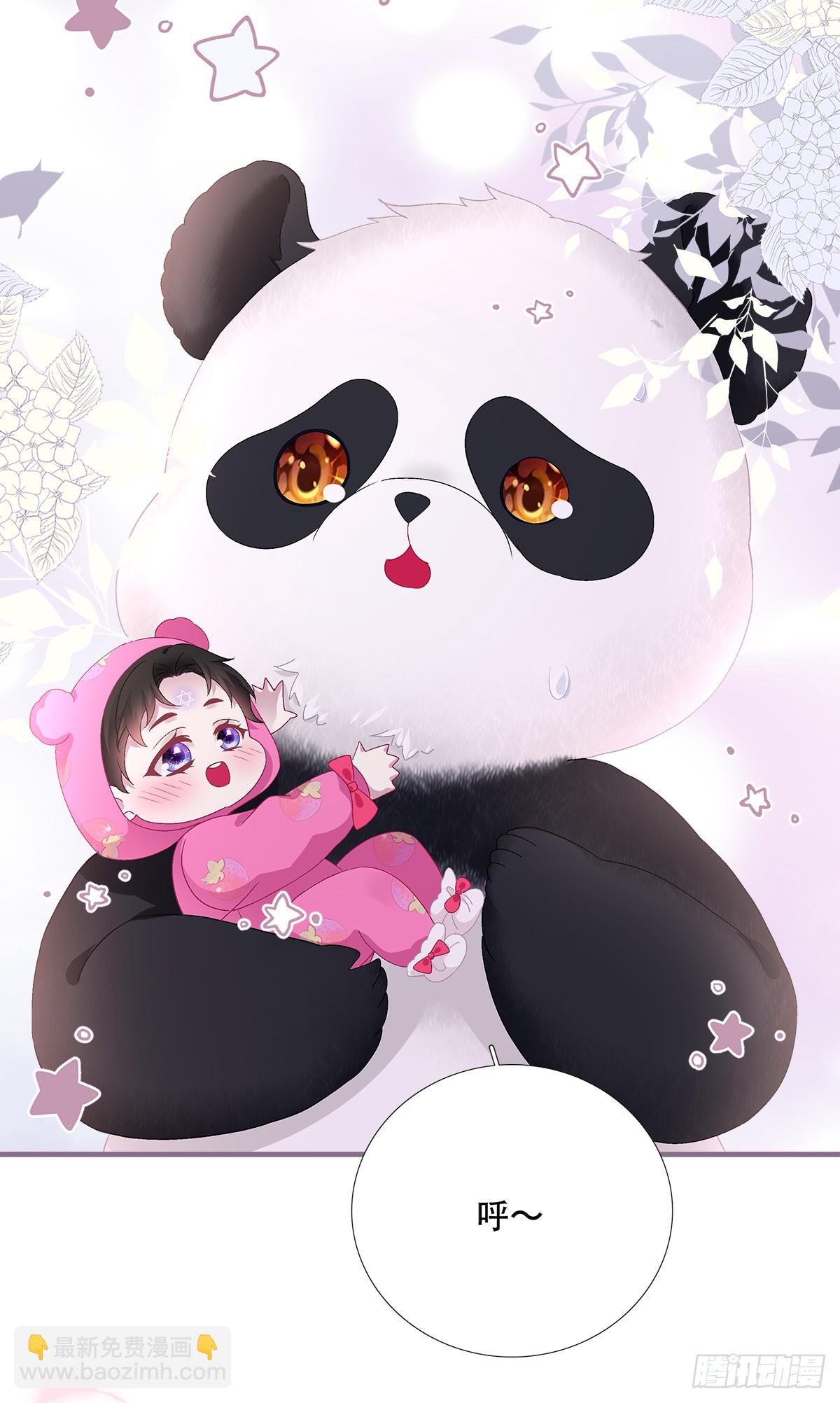 小熊猫来啦！(1/2)-第93话