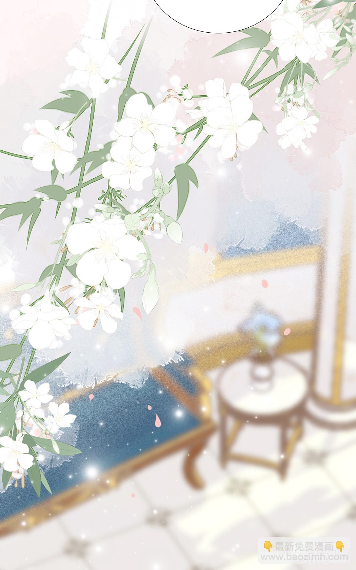 小熊猫来啦！(1/2)-第93话