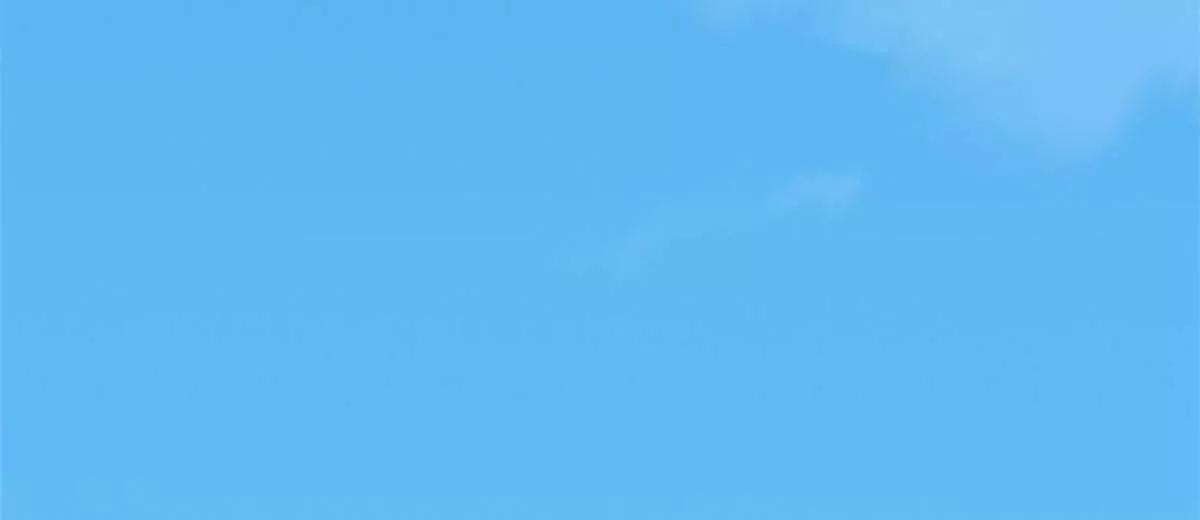 294 师父(1/2)-第295话