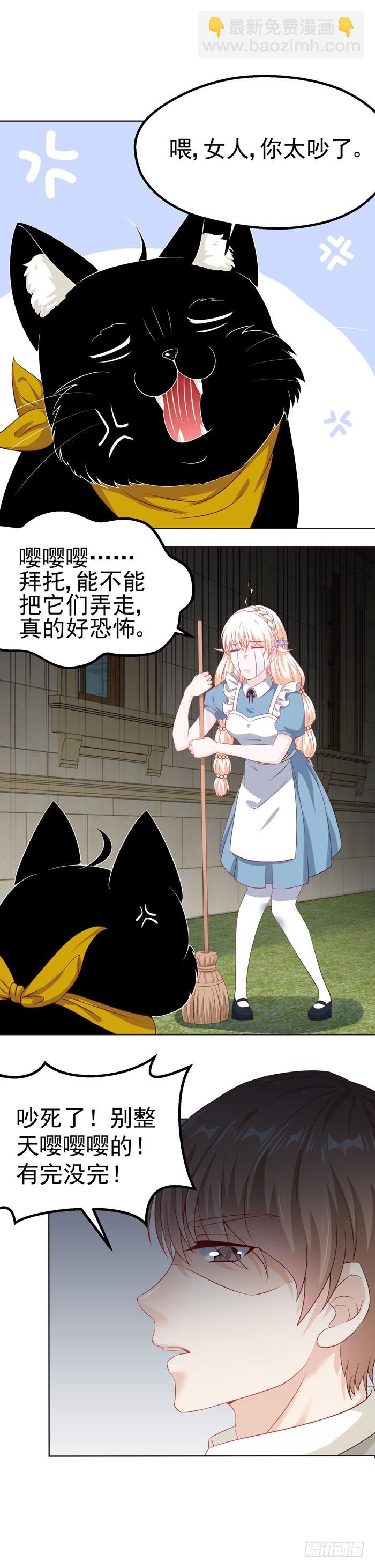 大家快来吸猫-第13话