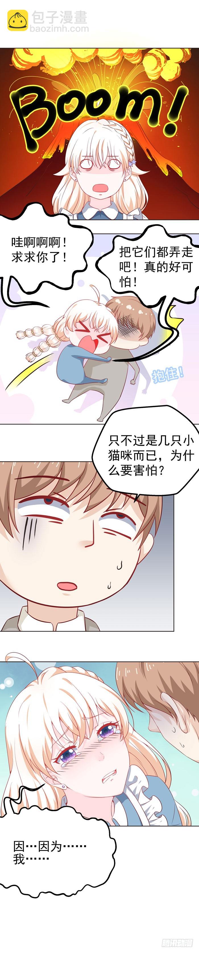 大家快来吸猫-第13话