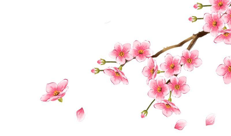 第11话 禁足-第11话