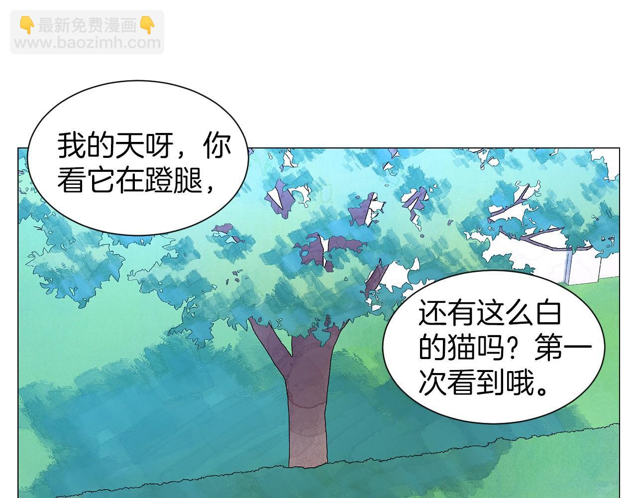 神貓爭寵大作戰 - 第13話 她的心理戰(1/3) - 5