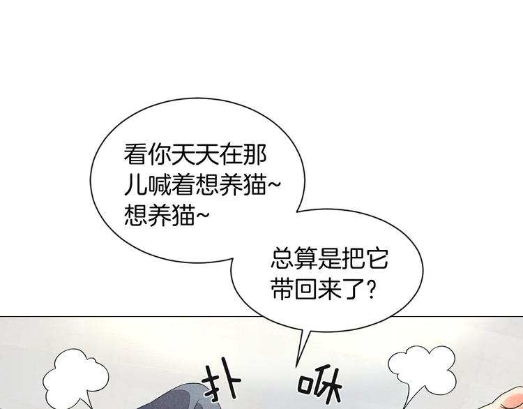 神貓爭寵大作戰 - 第5話 名字的由來(1/4) - 5