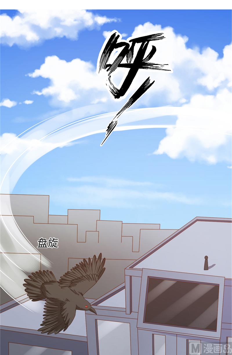 第28话 接人-第29话