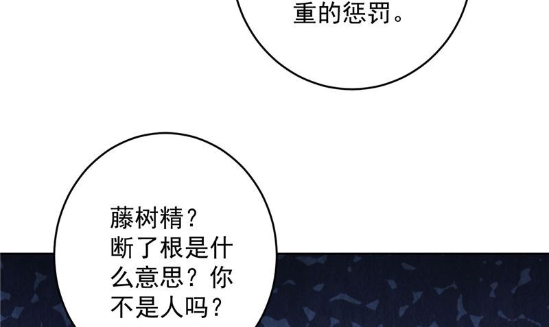 第38话 污蔑(1/2)-第39话