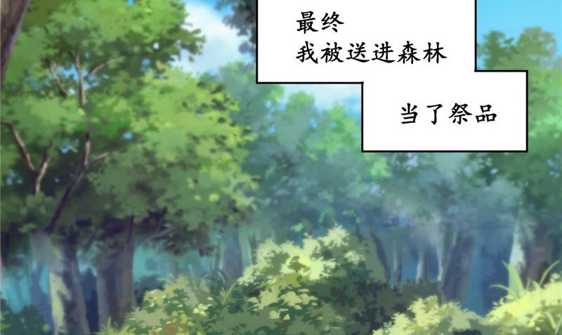 第42话 夜里偷袭(1/2)-第43话