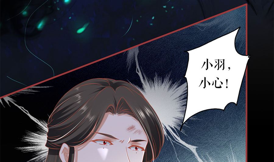 第205话(1/2)-第205话