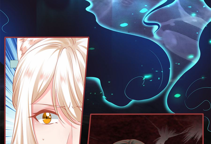 第205话(1/2)-第205话