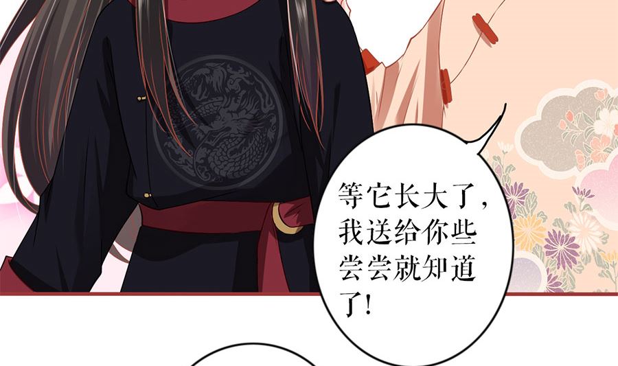 第219话(1/2)-第219话