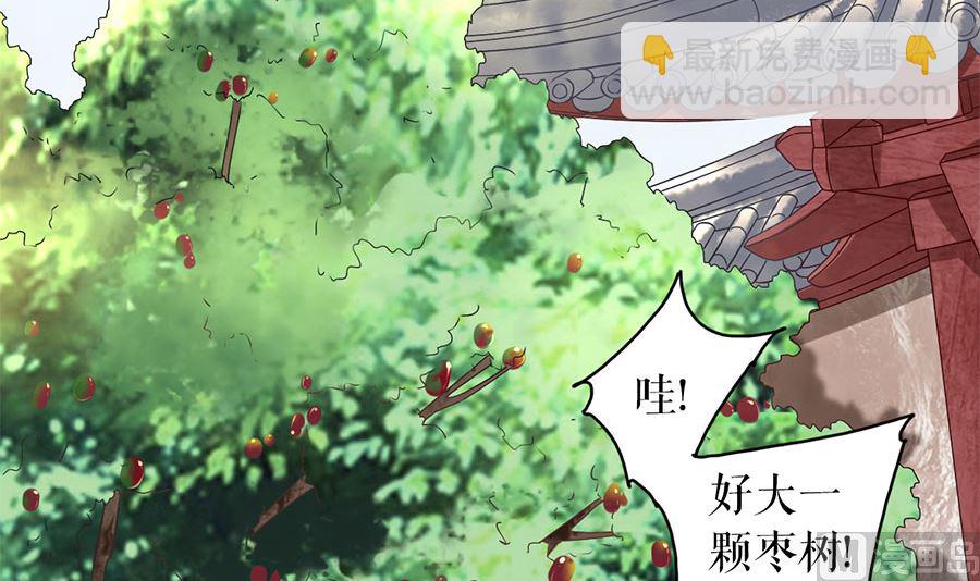 第219话(1/2)-第219话