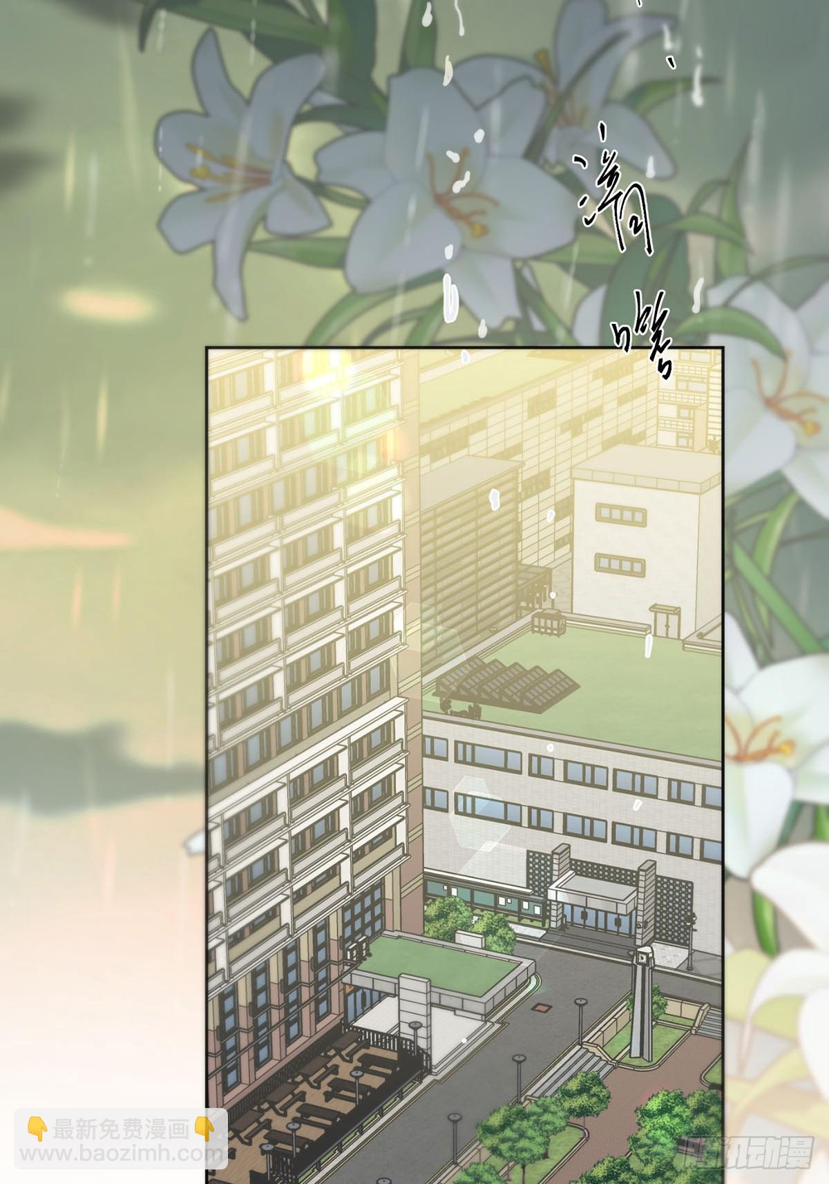 45话：完结篇(1/2)-第51话