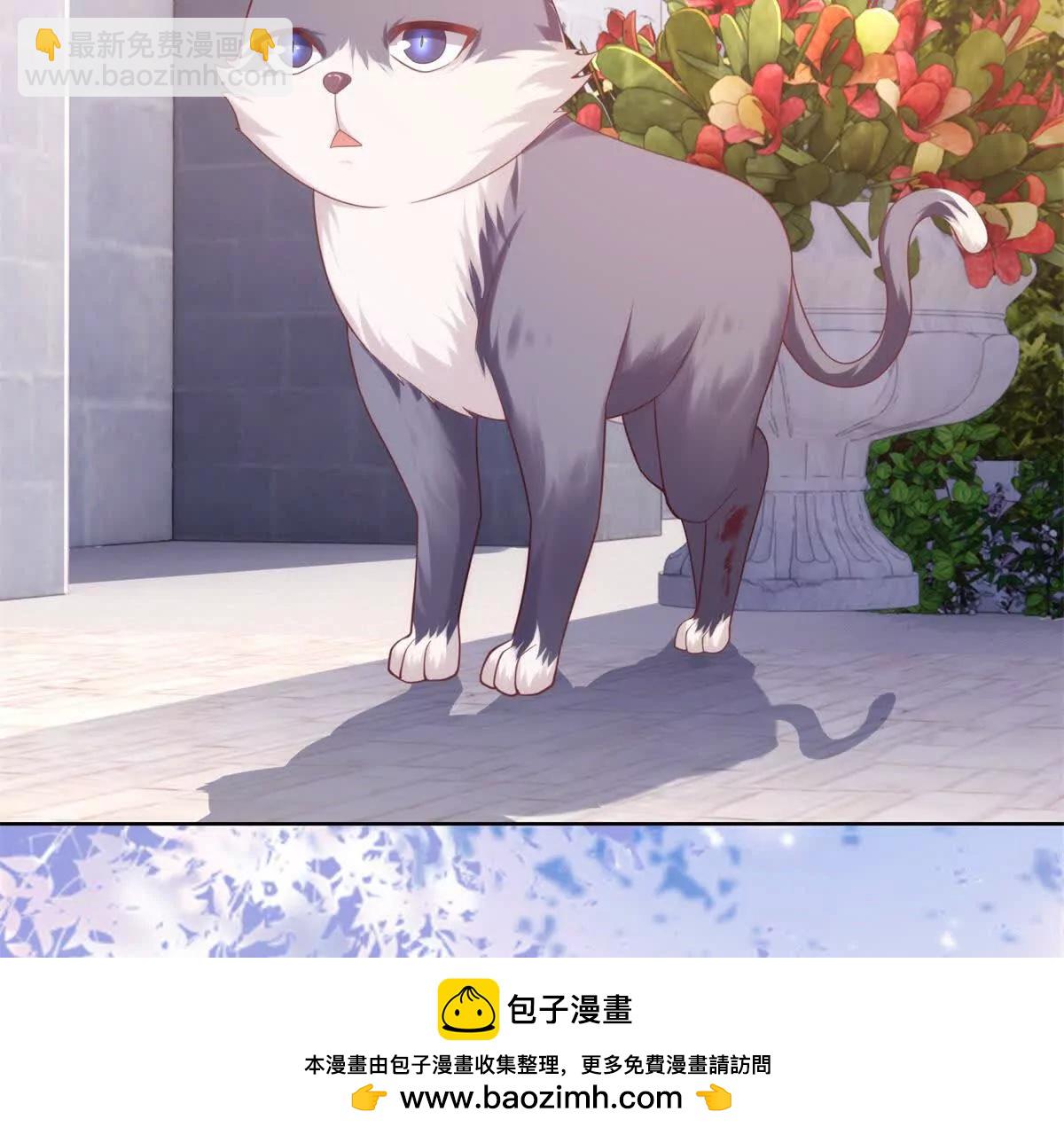 第4话 不安的孔雀鱼(1/3)-第5话