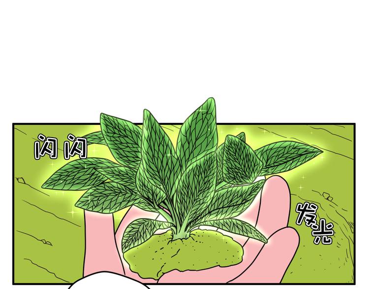 神奇植物店 - 序幕 山洞深處的藍色光芒 - 2