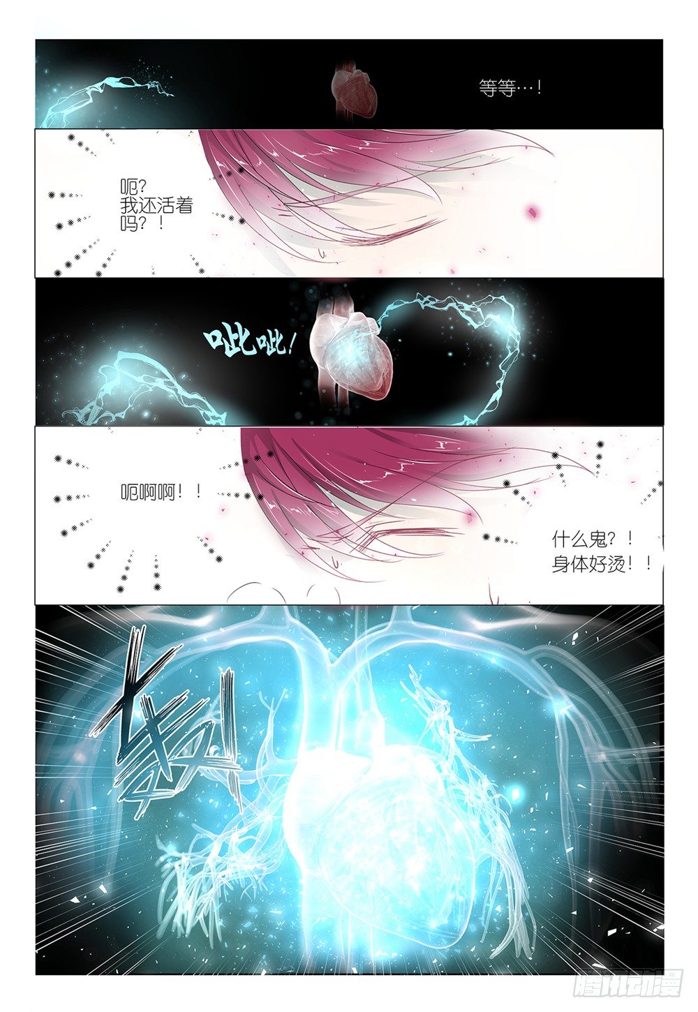 第4话 - 蘑菇算不算疏菜-第5话