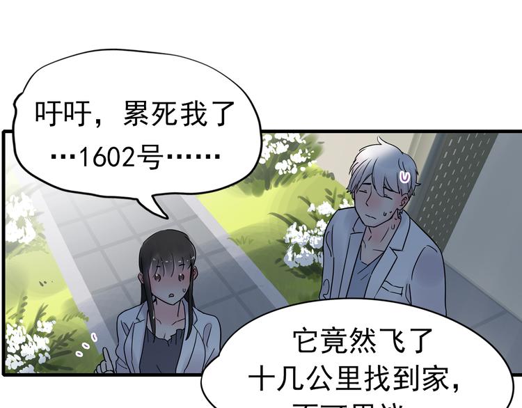 第3话 蝴蝶夫人（三）(1/2)-第3话